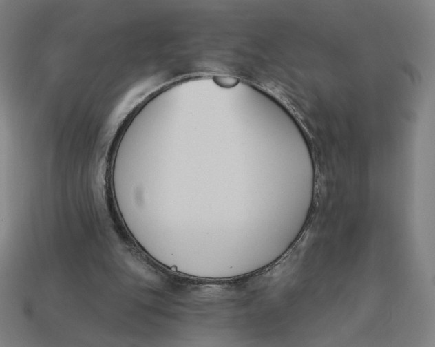 X0000113360151200910061047