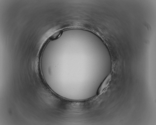 X0000113360152200910061047