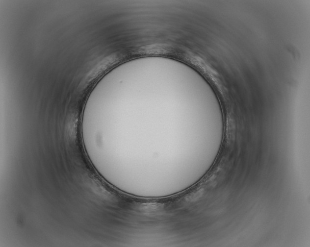 X0000113360153200910061047