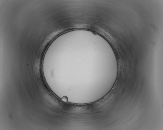 X0000113360155200910061047