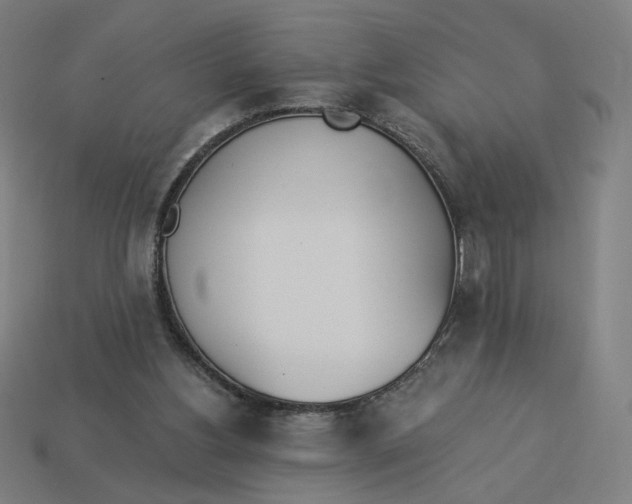 X0000113360156200910061047