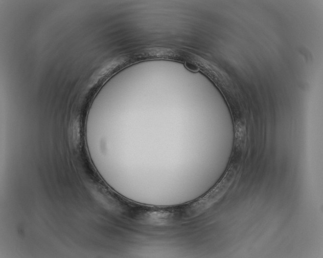 X0000113360158200910061047