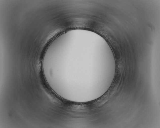 X0000113360160200910061047