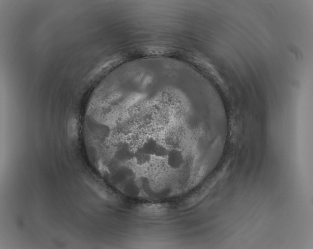 X0000113360161200910061047