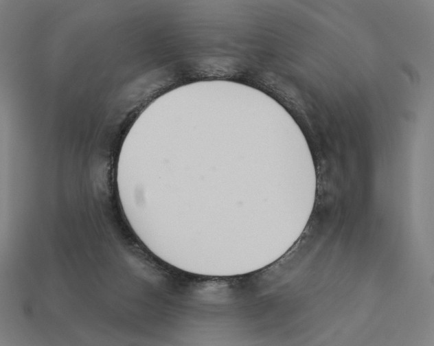 X0000113360162200910061047