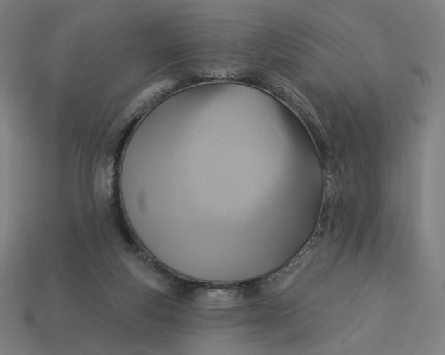 X0000113360163200910061047