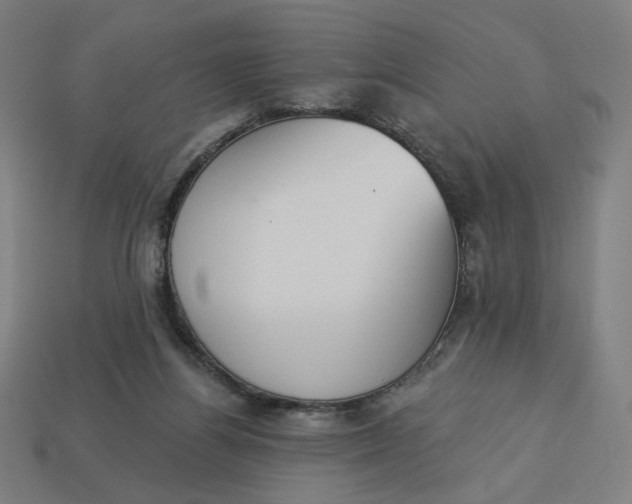 X0000113360164200910061047