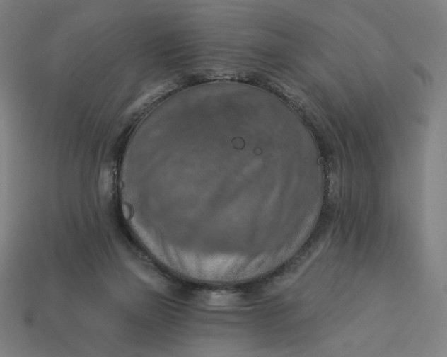 X0000113360165200910061047