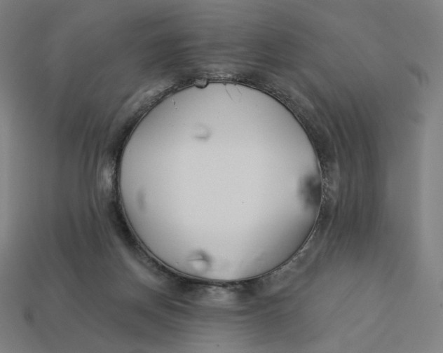 X0000113360166200910061047