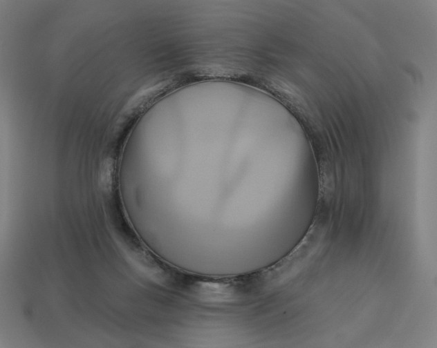 X0000113360167200910061047