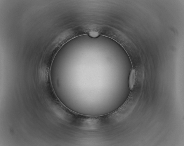 X0000113360168200910061047