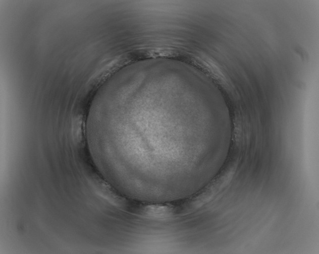 X0000113360169200910061047