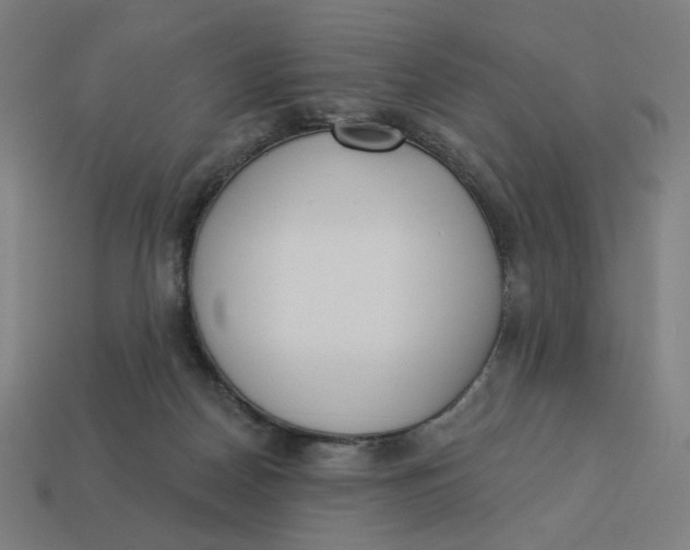 X0000113360170200910061047