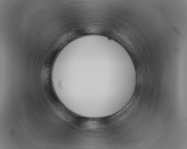 X0000113360171200910061047