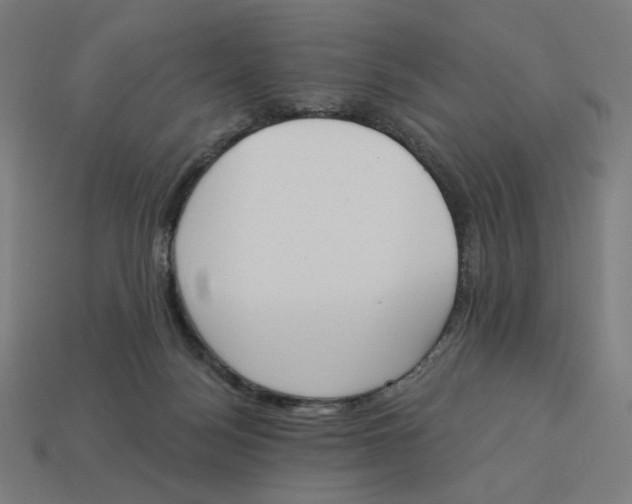 X0000113360172200910061047