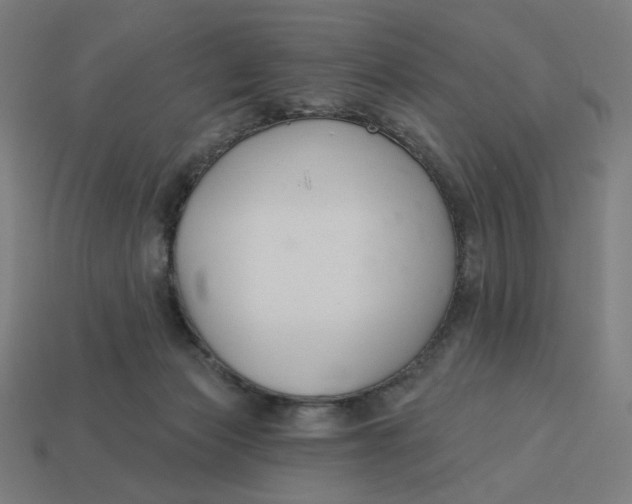 X0000113360173200910061047