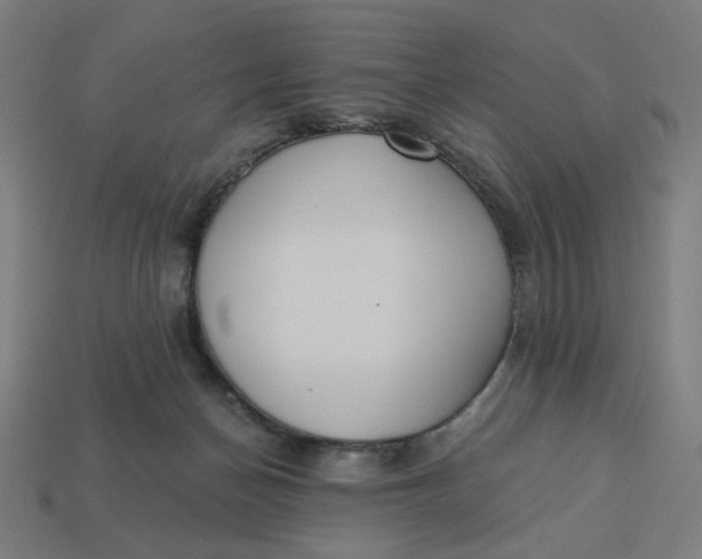 X0000113360174200910061047