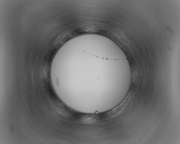 X0000113360175200910061047