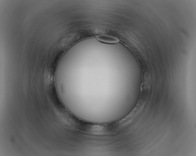 X0000113360176200910061047