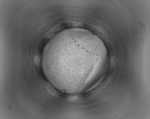 X0000113360177200910061047