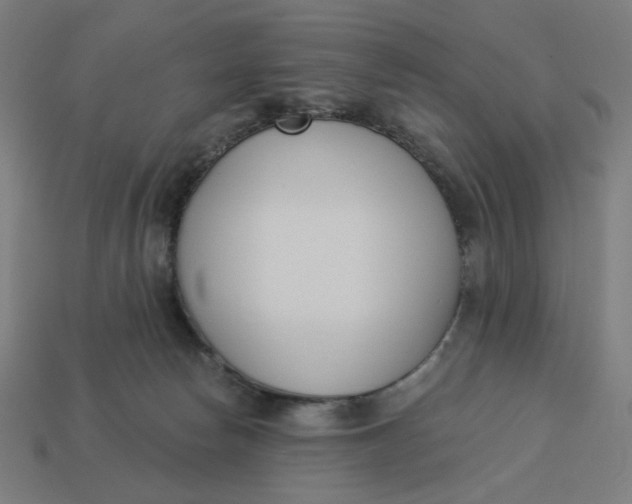 X0000113360178200910061047