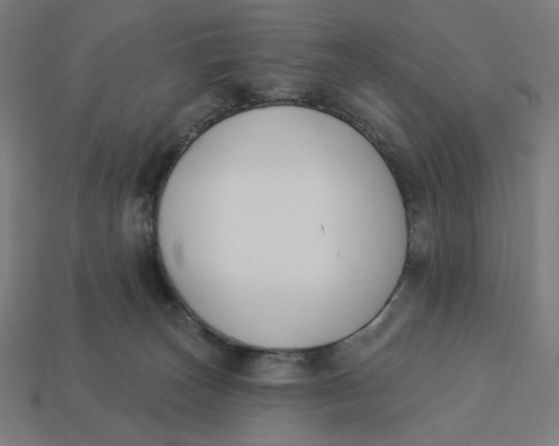 X0000113360179200910061047