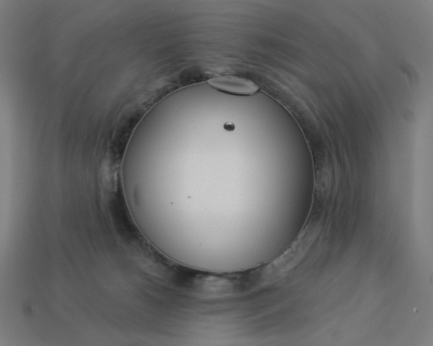 X0000113360180200910061047