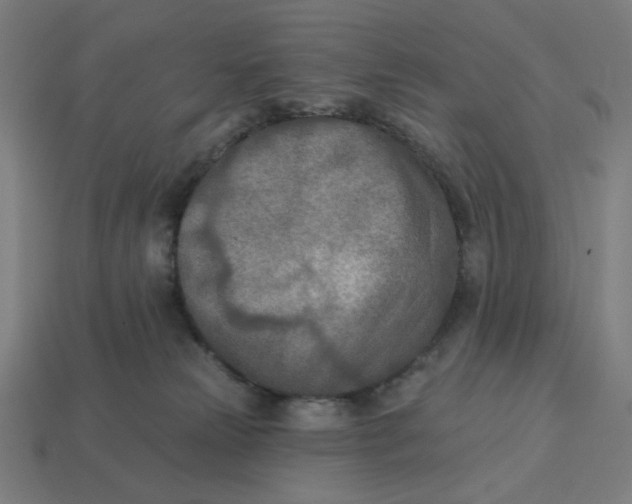 X0000113360181200910061047