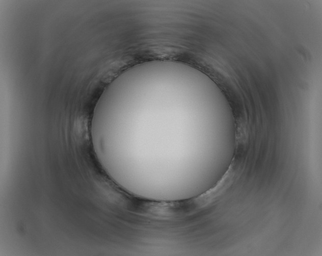 X0000113360182200910061047