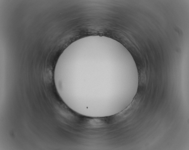 X0000113360183200910061047