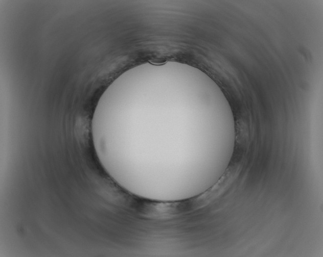 X0000113360184200910061047