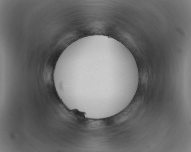 X0000113360185200910061047