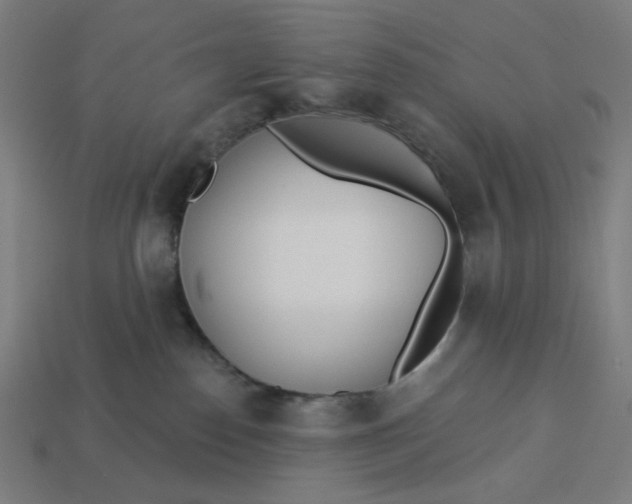 X0000113360186200910061047