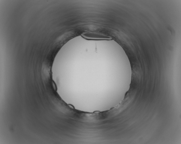 X0000113360188200910061047