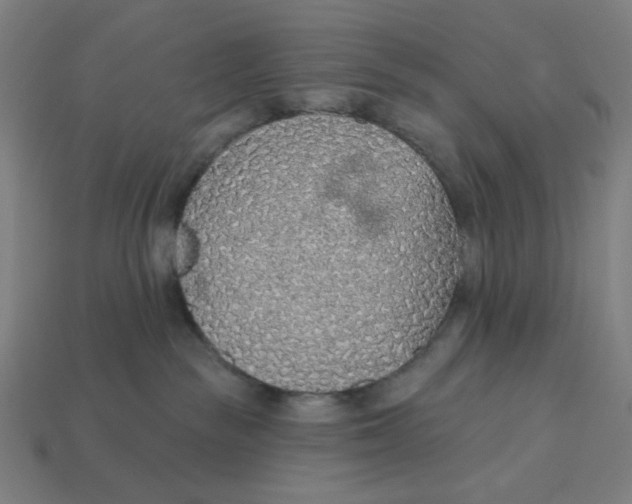 X0000113360189200910061047