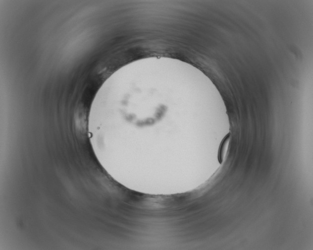 X0000113360190200910061047