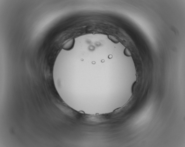 X0000113360191200910061047