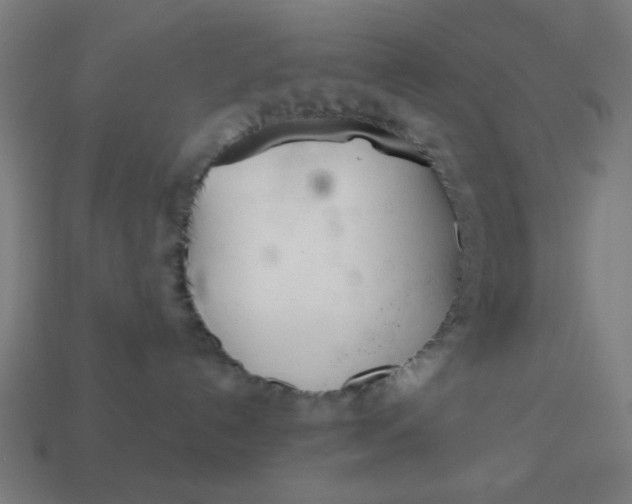 X0000113360192200910061047