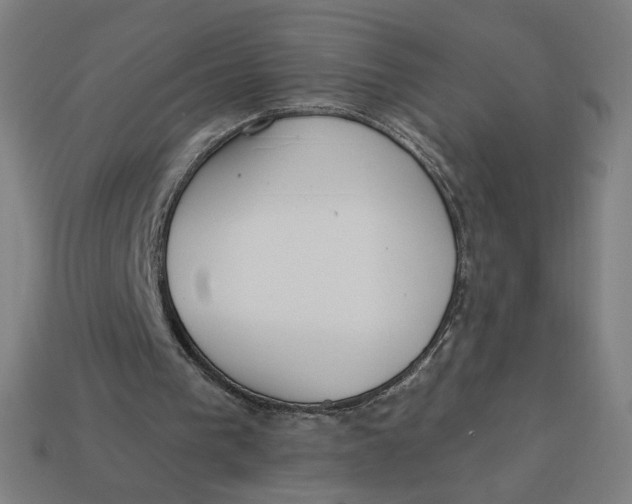 X0000113360193200910061047