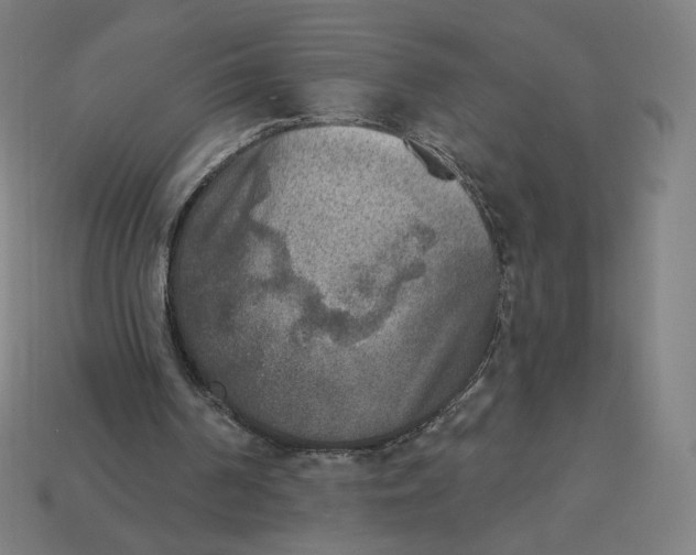 X0000113360194200910061047