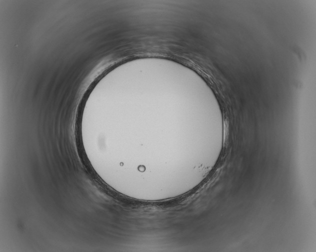 X0000113360195200910061047