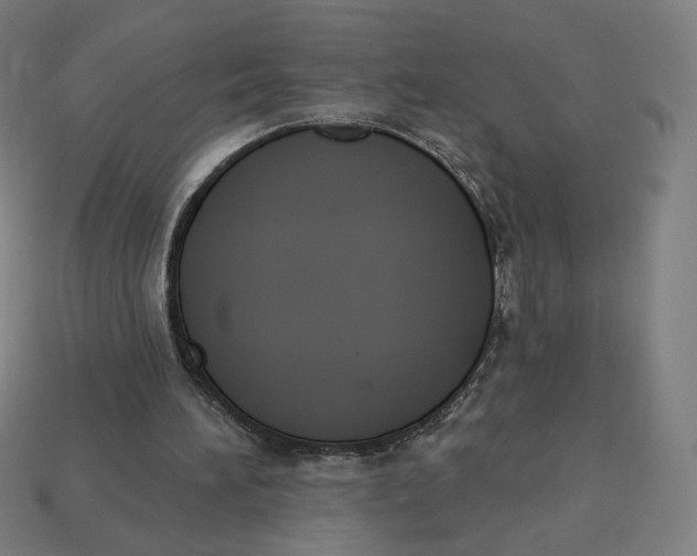 X0000113360196200910061047