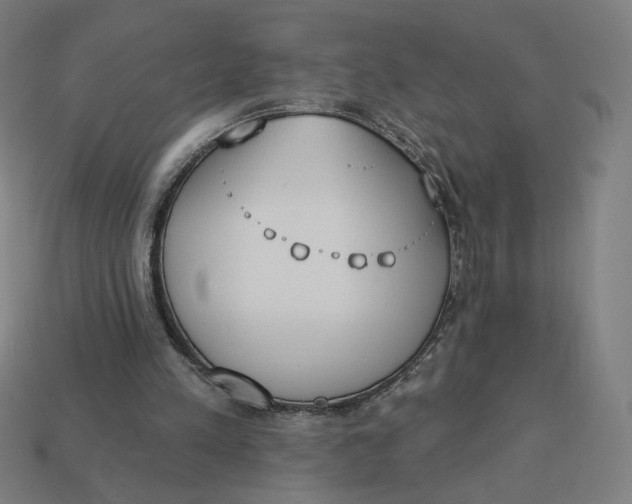 X0000113360197200910061047