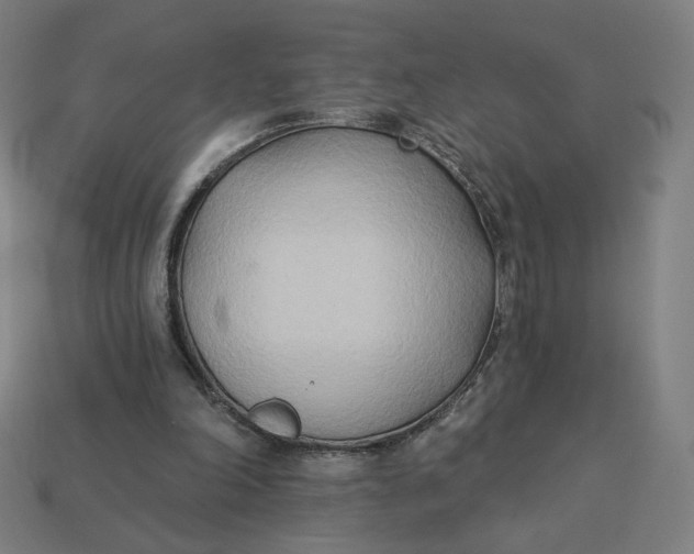 X0000113360198200910061047