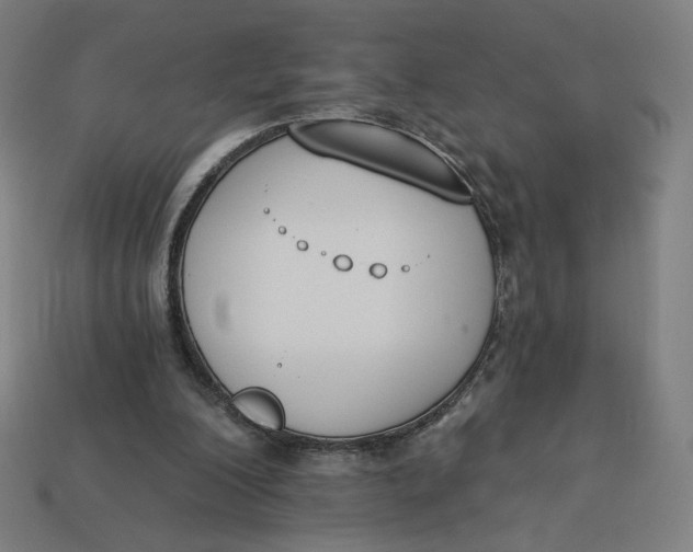 X0000113360200200910061047