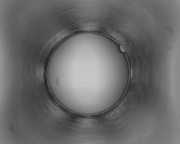 X0000113360201200910061047