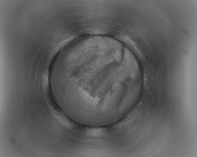 X0000113360202200910061047