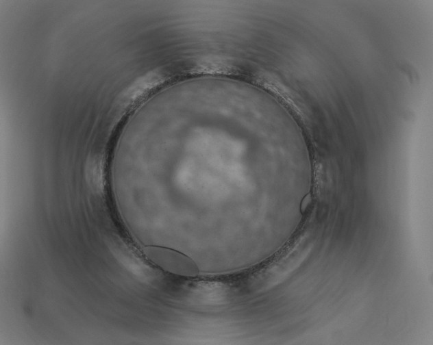 X0000113360203200910061047