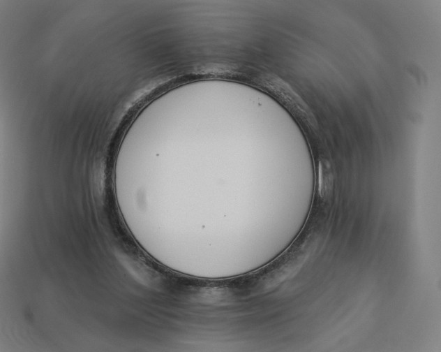 X0000113360204200910061047