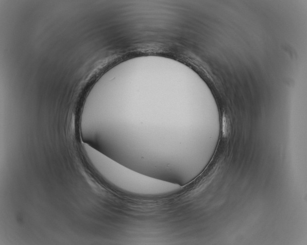 X0000113360205200910061047